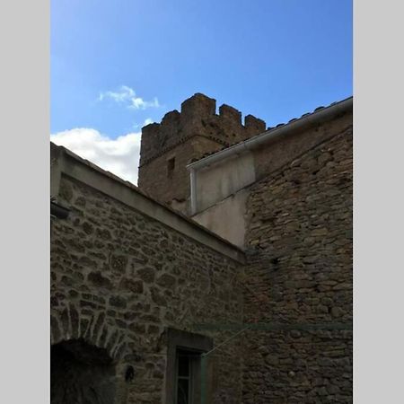 Le Petit Ormeau Attenant A La Tour Du Portail Neuf Apartment Laure-Minervois Exterior photo